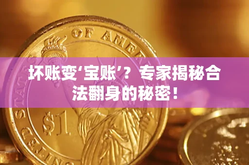 北京坏账变‘宝账’？专家揭秘合法翻身的秘密！