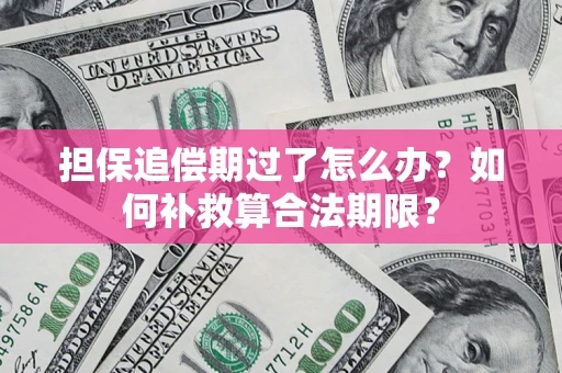 北京担保追偿期过了怎么办？如何补救算合法期限？