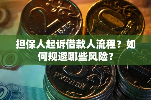 北京担保人起诉借款人流程？如何规避哪些风险？