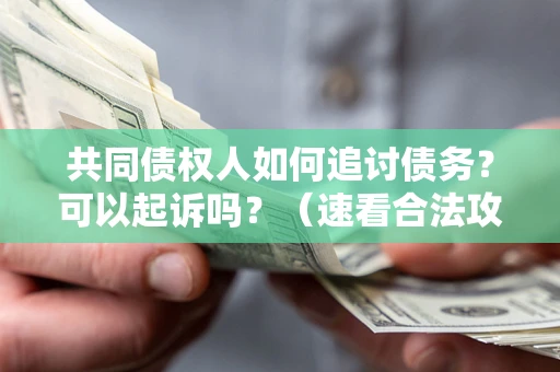 北京共同债权人如何追讨债务？可以起诉吗？（速看合法攻略）